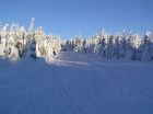 SKI AREL PAPRSEK U STARHO MSTA POD SN̎NKEM 
(klikni pro zvten)