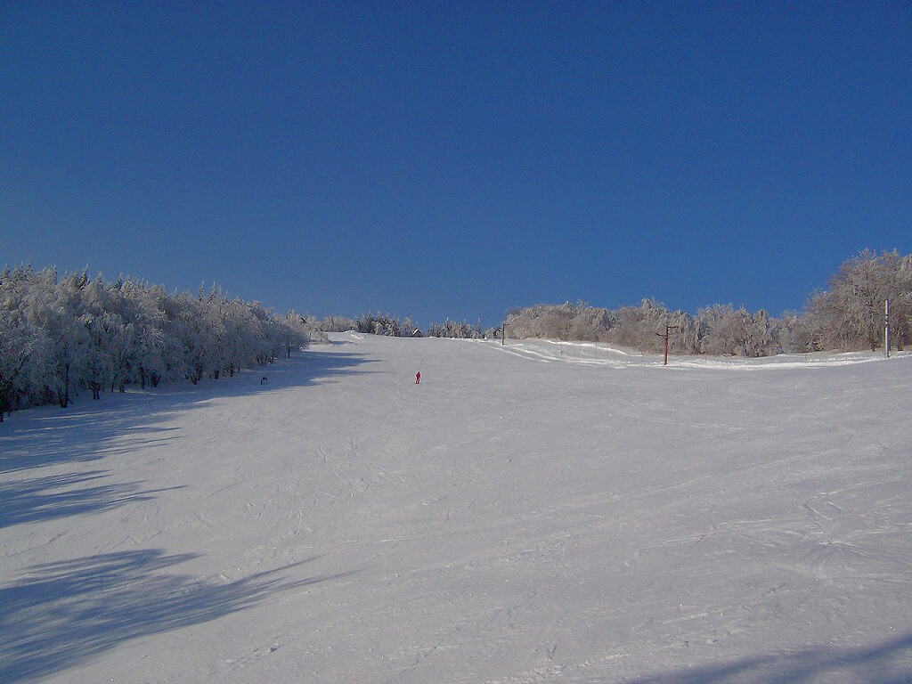 SKI AREL KOM V͎KA