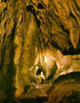 Bozkovsk Dolomitov jeskyn 
(klikni pro zvten)