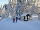 SKI AREL HORN GUNTRAMOVICE V BUDIOV N. B. 
(klikni pro zvten)