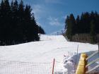 SKI AREL SVIORKY NA MORVCE 
(klikni pro zvten)