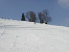 SKI AREL PROskil V BRANN 
(klikni pro zvten)