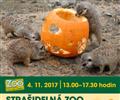 Straideln ZOO st nad Labem