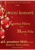 Vnon koncert