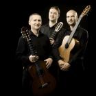 Koncert Trio Indice