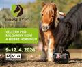 HORSE EXPO - Market & Hobby horse