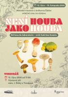 Nen� houba jako houba 