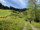 STEZKY PORTE MALINY - VELK KARLOVICE 
(klikni pro zvten)