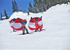 SUN SKI & BOARD SCHOOL, PROVOZOVNA BL 
(klikni pro zvten)