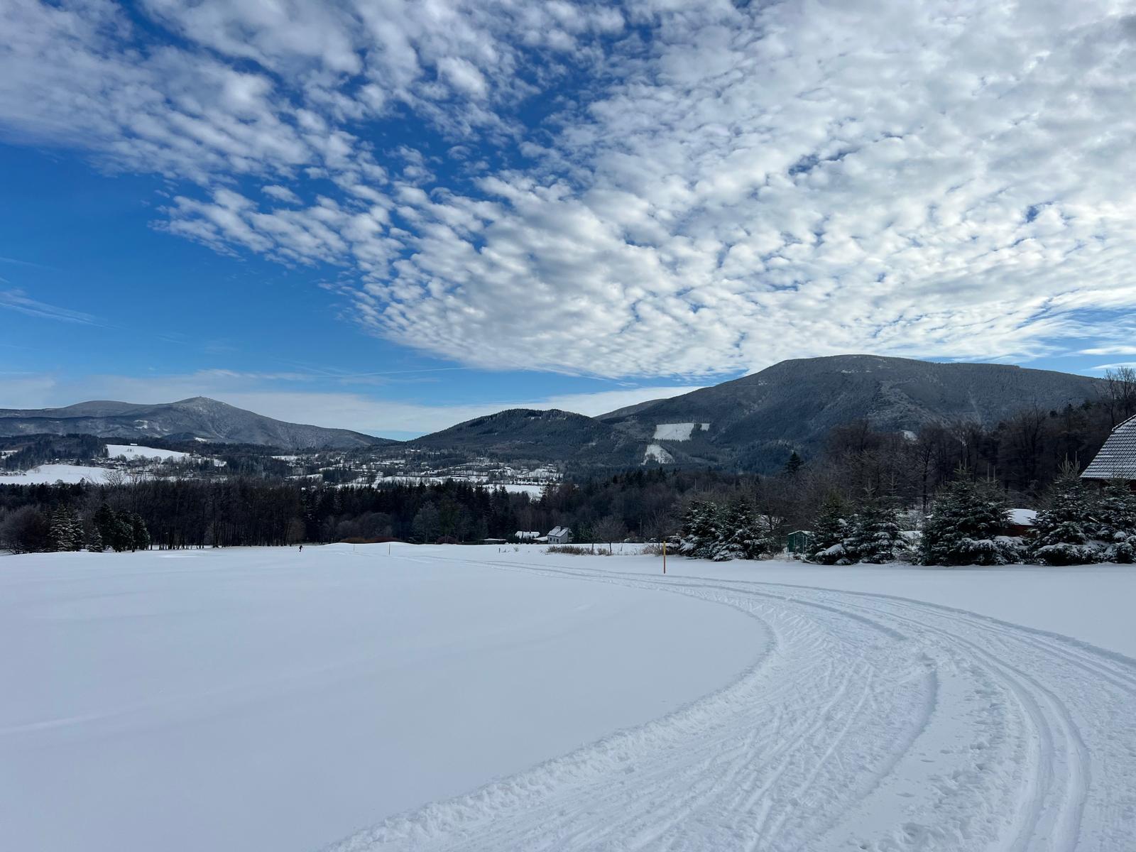 SNOW ARENA �ELADN�