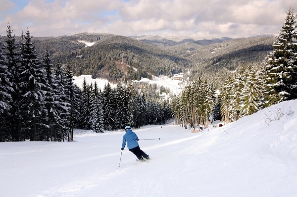 SKI AREL RAZULA VELK KARLOVICE