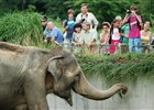 Zoo Ostrava 
(klikni pro zvětšení)