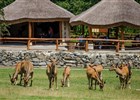 Zoo Ostrava 
(klikni pro zvětšení)