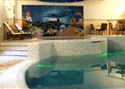 Bazén hotelu Troyer 
(klikni pro zvětšení)