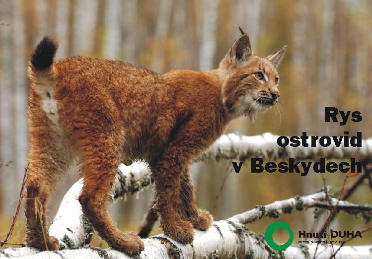 Nov� pohlednice s motivy velk�ch �elem v Beskydech