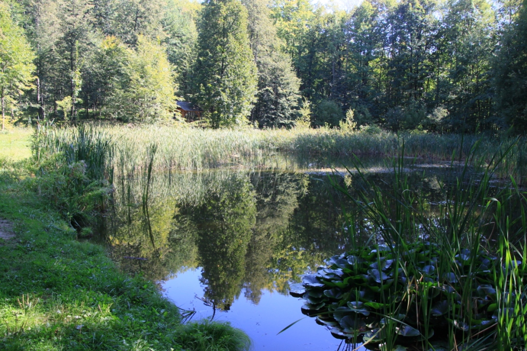 ZCENINA HRADU OSTN U KOPIVNICE