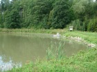 Borovecké rybníky 
(klikni pro zvětšení)