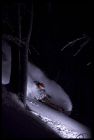 SKI AREÁL ŘEKA 
(klikni pro zvětšení)
