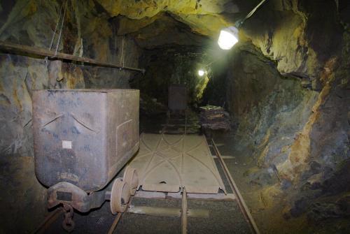 �TOLA �.1 V J�CHYMOV�