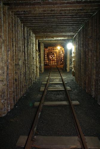 �TOLA �.1 V J�CHYMOV�