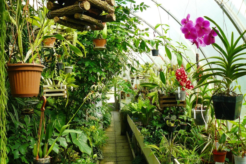 Z�MEK KA�INA, MUZEUM �ESK�HO VENKOVA