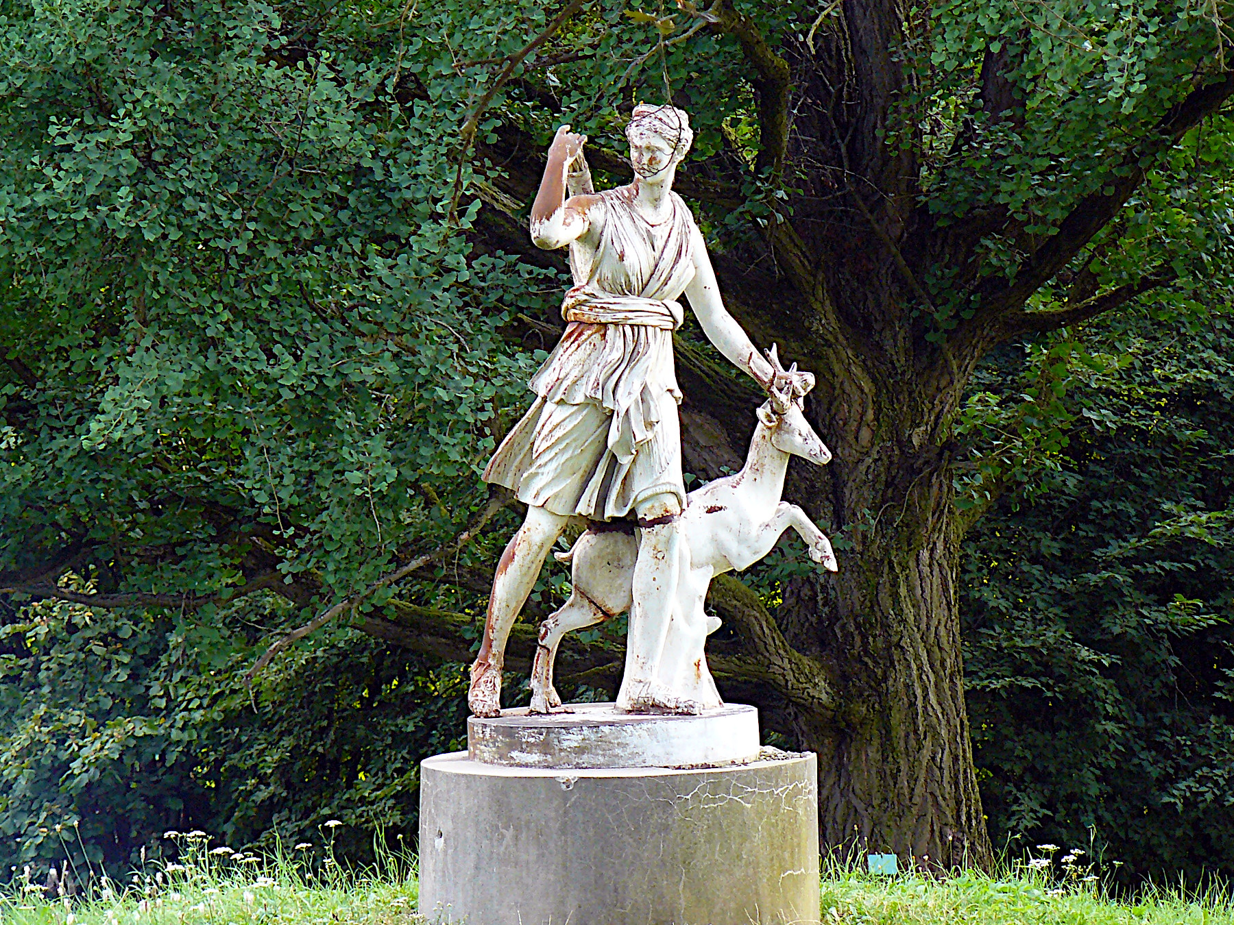 Z�MEK NOV� SV�TLOV - BOJKOVICE