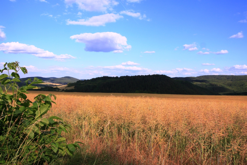 KELTSK� OPPIDUM STRADONICE