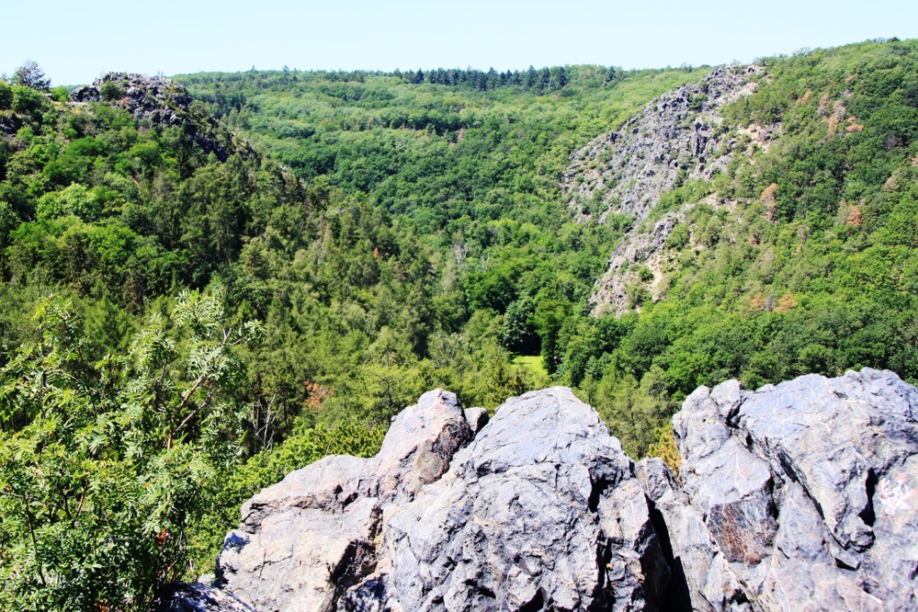 P��RODN� REZERVACE DIVOK� ��RKA PRAHA LIBOC