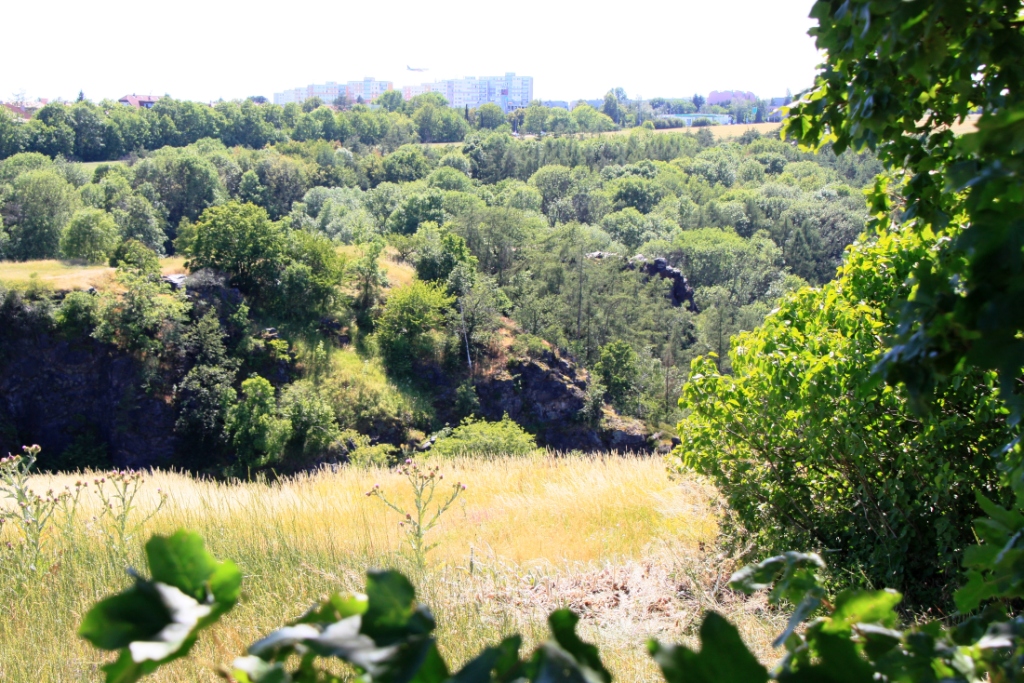 P��RODN� REZERVACE DIVOK� ��RKA PRAHA LIBOC
