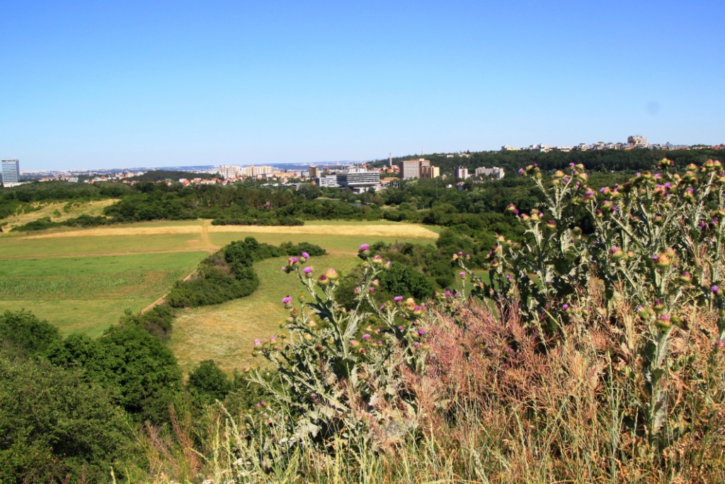 P��RODN� REZERVACE DIVOK� ��RKA PRAHA LIBOC