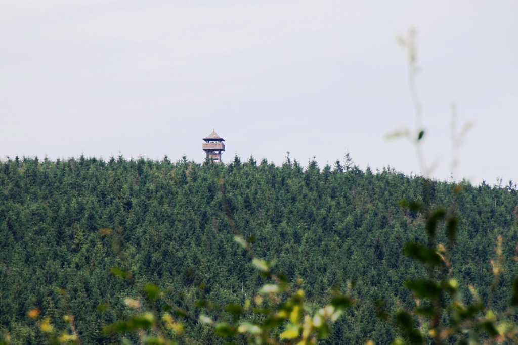 ROZHLEDNA VELK JAVORNK