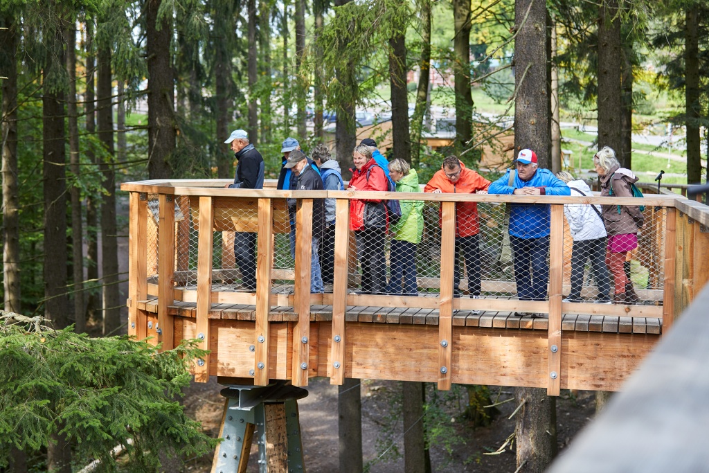 STEZKA KORUNAMI STROM� KRKONO�E