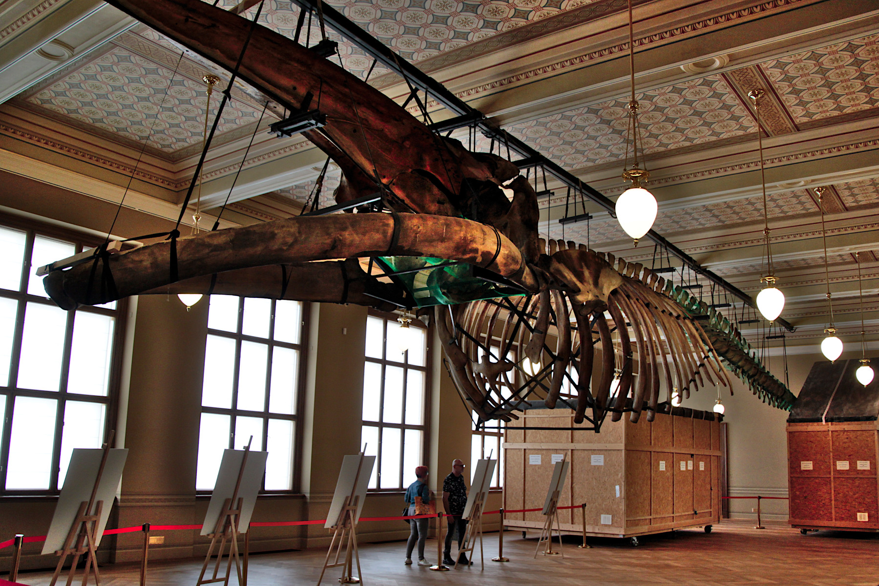 N�RODN� MUZEUM - PRAHA NOV� M�STO