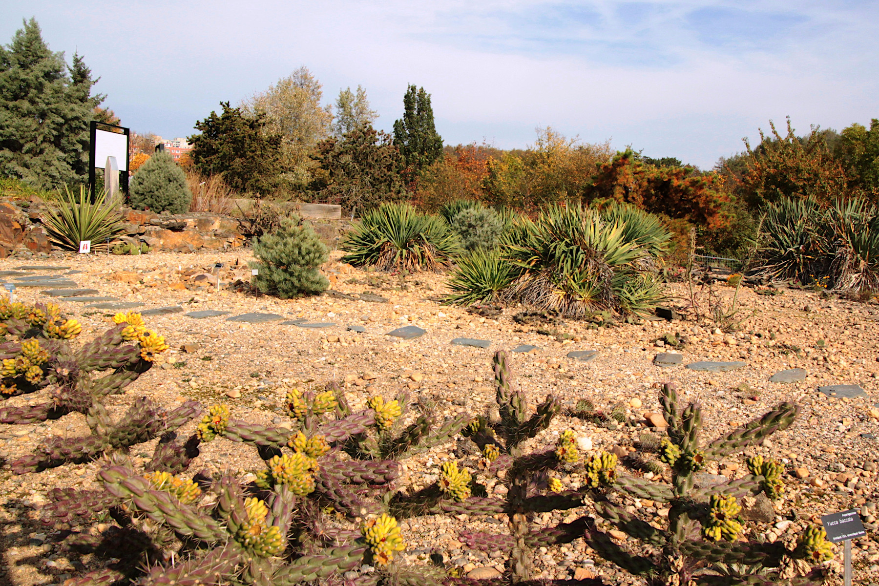 BOTANICK� ZAHRADA - PRAHA TROJA