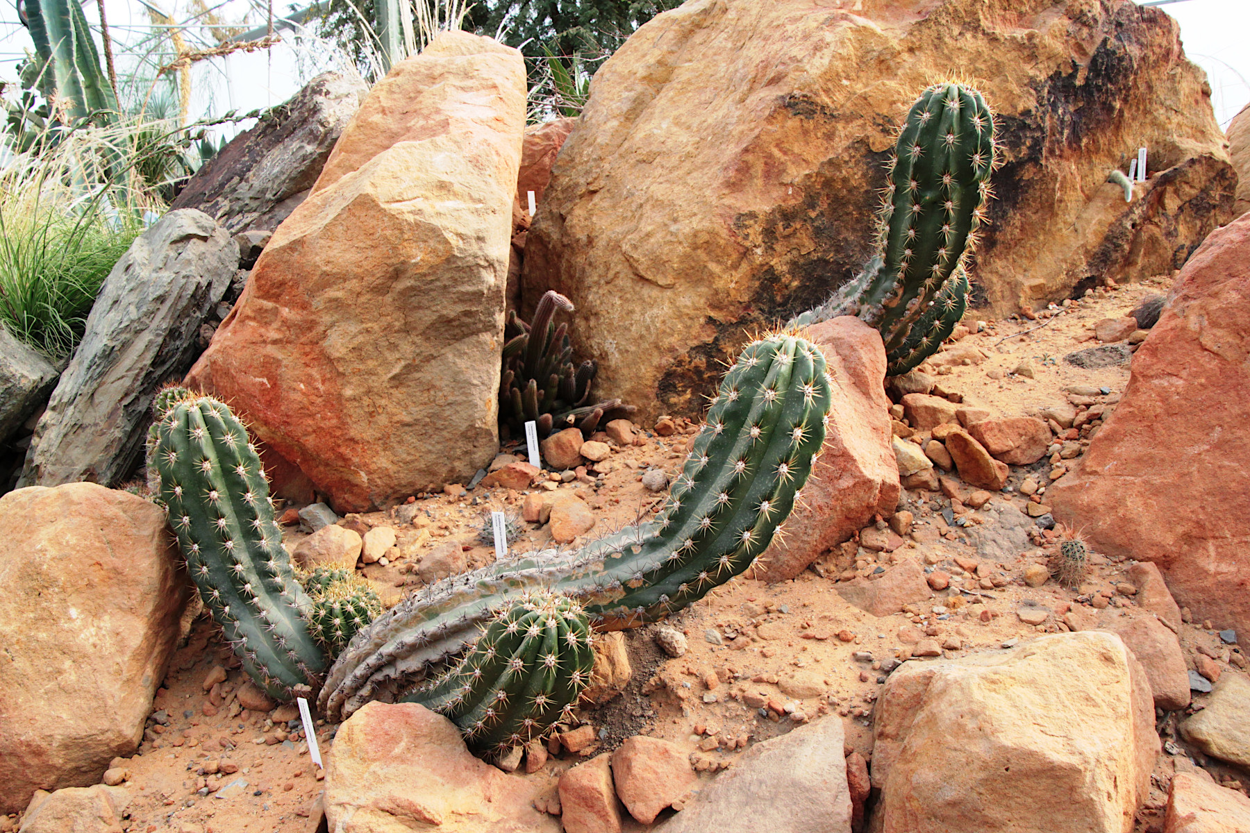 BOTANICK� ZAHRADA - PRAHA TROJA