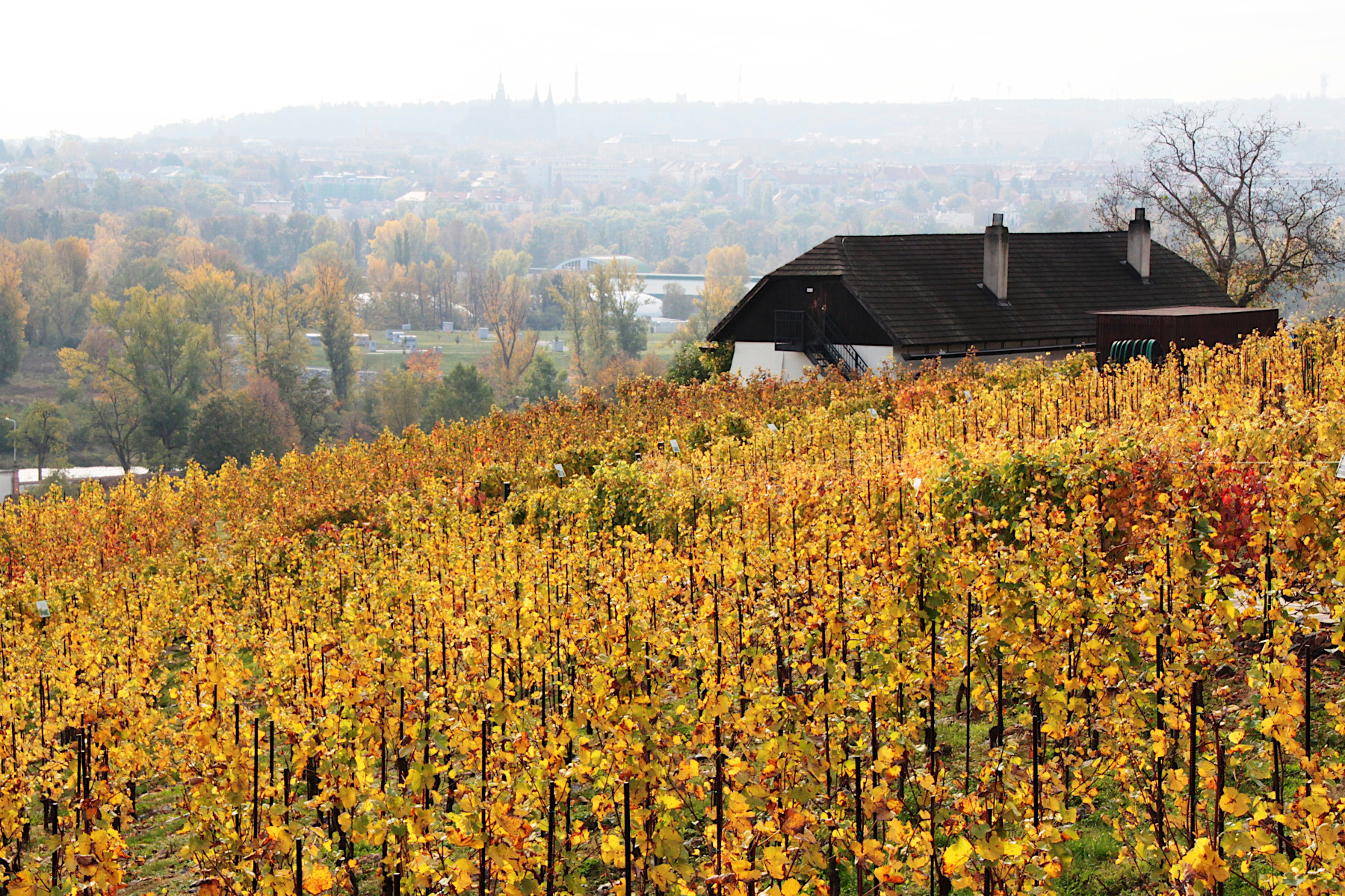 BOTANICK� ZAHRADA - PRAHA TROJA