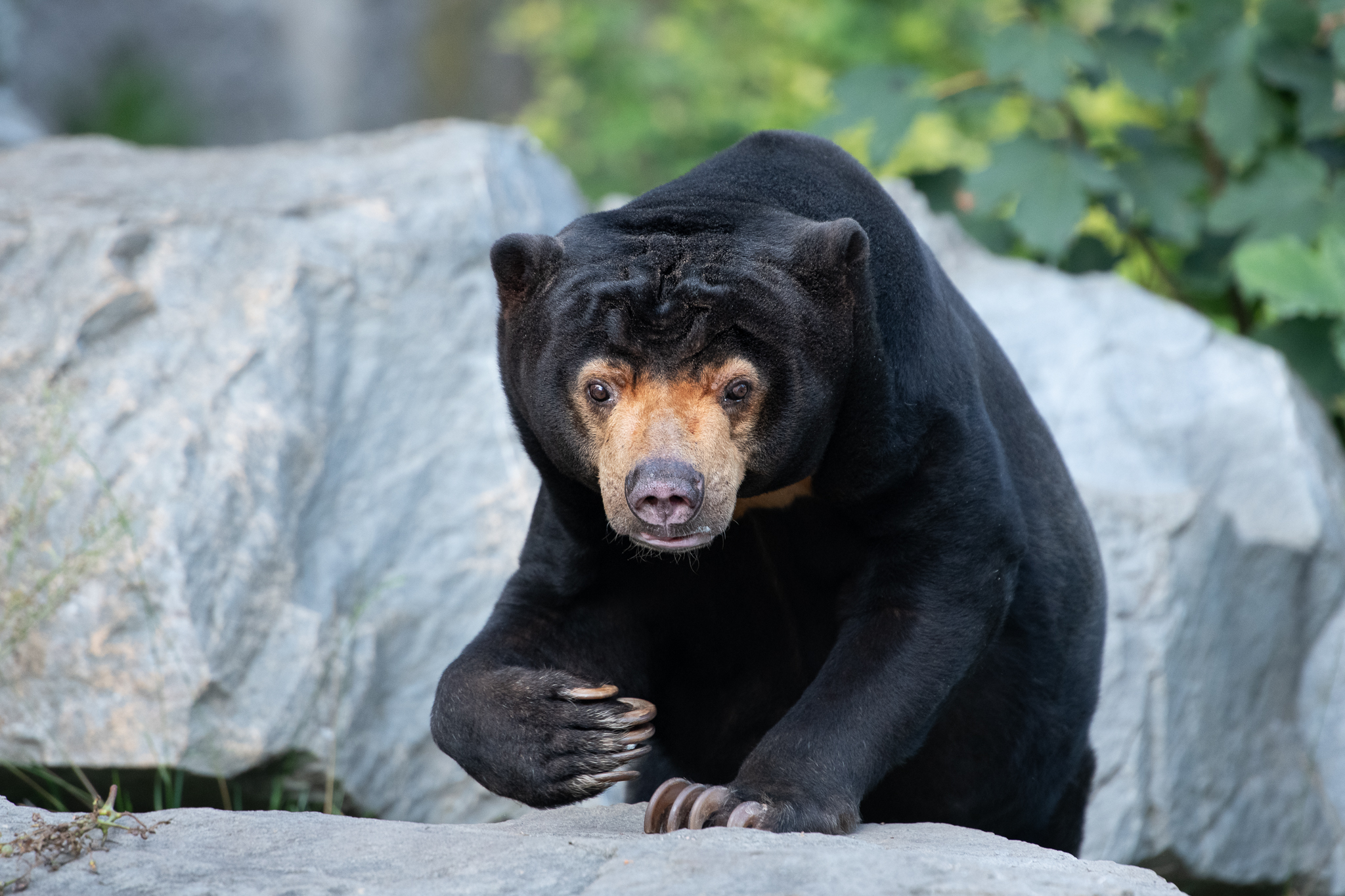 ZOO �ST� NAD LABEM