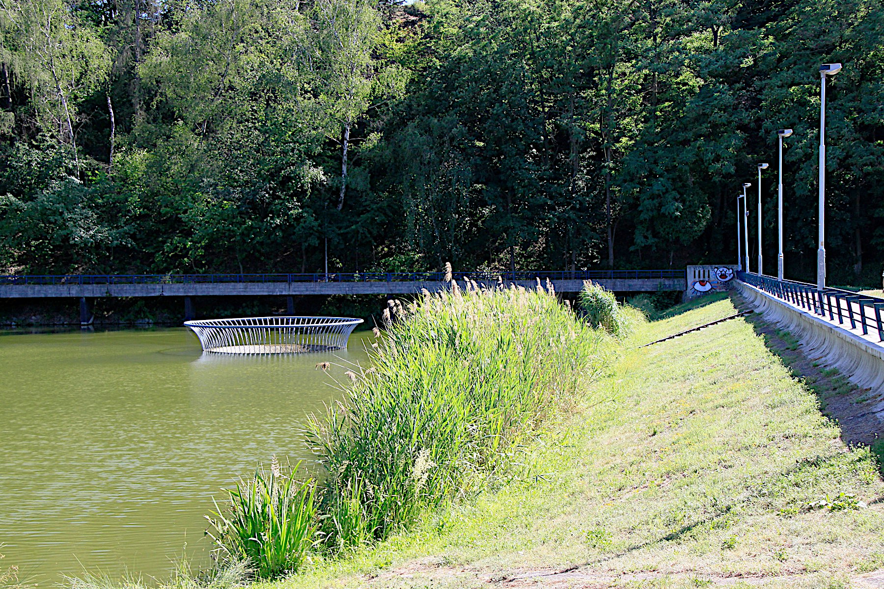 P��RODN� KOUPALI�T� D�B�N U ��RKY � PRAHA VOKOVICE