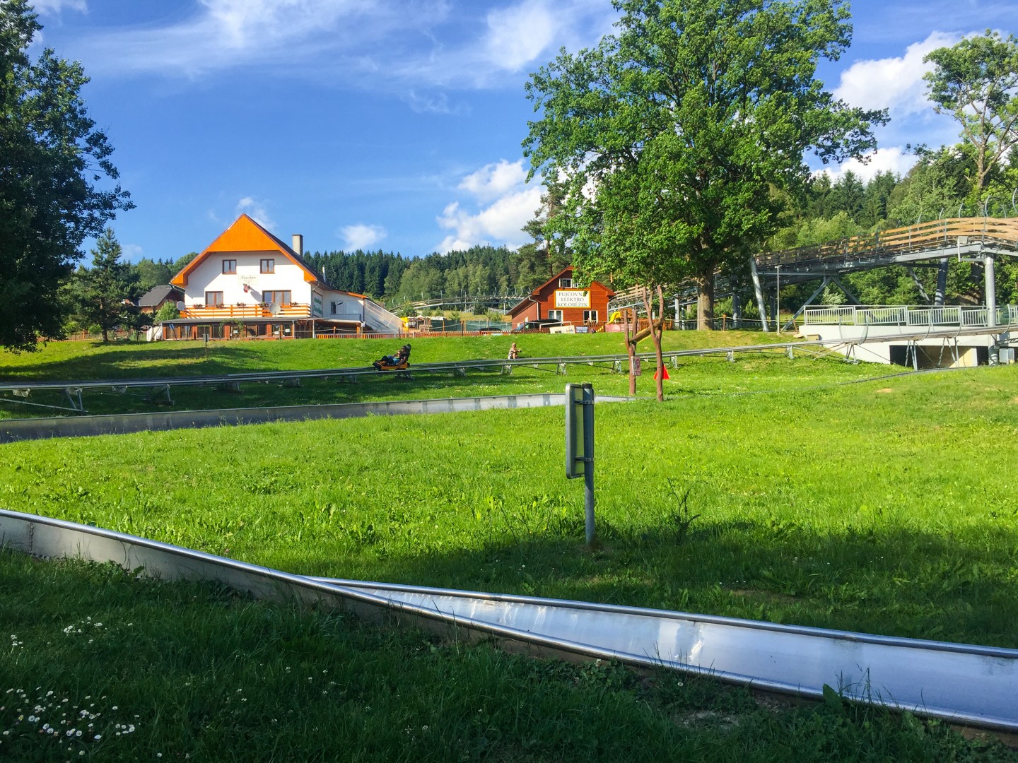 BOBOV� DR�HA LIPNO