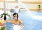 Wellness Hotel pod Kymolem *** 
(klikni pro zvten)