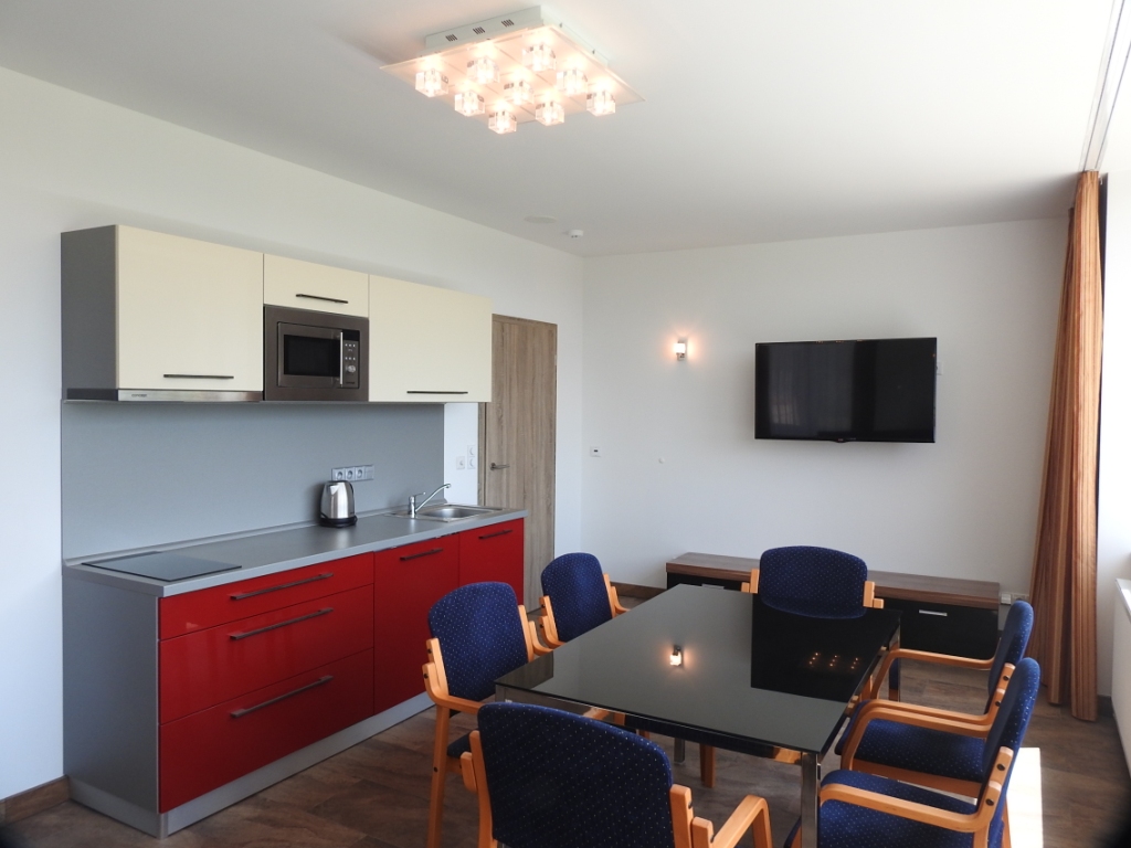 APARTM�NY HARTMAN - OLE�NICE V ORLICK�CH HOR�CH