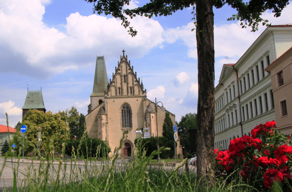 RAKOVN�K