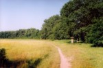 PŘÍRODNÍ REZERVACE LIPOVKA – GRADO
