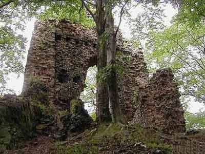 Zcenina hradu Bradlec