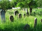 Židovský hřbitov 
(klikni pro zvětšení)
