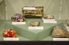 Expozice Geologie a mineralogie 
(klikni pro zvten)