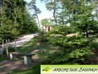 ARBORETUM AMPACH 
(klikni pro zvten)