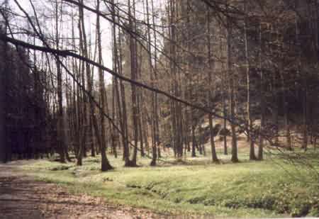 �DOL� PLAK�NEK