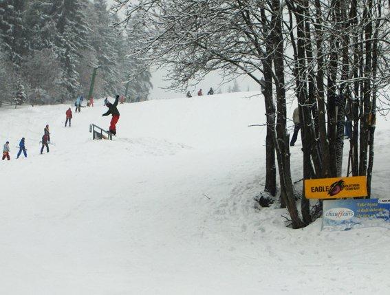 Ly�a�sk� are�l Hartmanice
