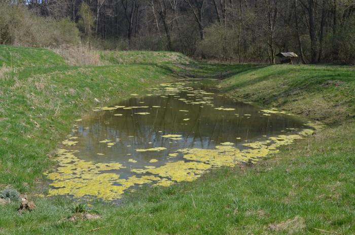 Hustope�sk� rybn�k